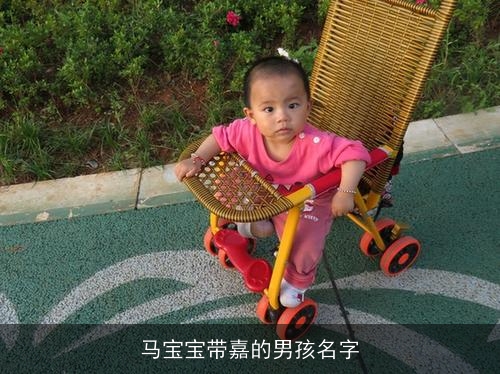 马宝宝带嘉的男孩名字 马宝宝带嘉的男孩名字