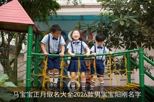 马宝宝正月取名大全2026款男宝宝阳刚名字 马宝宝正月取名大全2026款男宝宝阳刚名字
