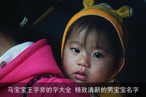 马宝宝王字旁的字大全 精致清新的男宝宝名字 马宝宝王字旁的字大全 精致清新的男宝宝名字