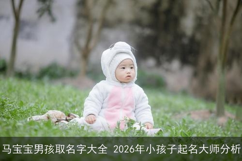 马宝宝男孩取名字大全 2026年小孩子起名大师分析 马宝宝男孩取名字大全 2026年小孩子起名大师分析