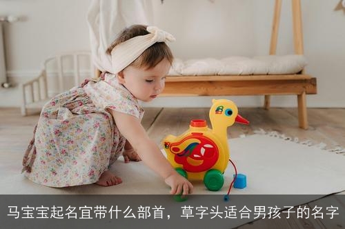马宝宝起名宜带什么部首,草字头适合男孩子的名字 马宝宝起名宜带什么部首,草字头适合男孩子的名字