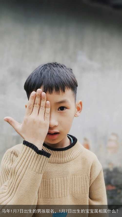马年1月7日出生的男孩取名,1月7日出生的宝宝属相属什么? 马年1月7日出生的男孩取名,1月7日出生的宝宝属相属什么?