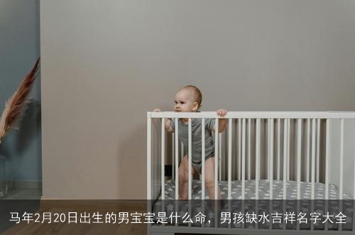 马年2月20日出生的男宝宝是什么命,男孩缺水吉祥名字大全 马年2月20日出生的男宝宝是什么命,男孩缺水吉祥名字大全