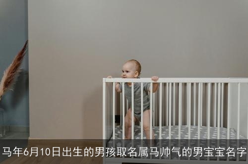 马年6月10日出生的男孩取名属马帅气的男宝宝名字 马年6月10日出生的男孩取名属马帅气的男宝宝名字