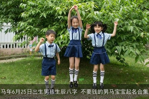 马年6月25日出生男孩生辰八字 不要钱的男马宝宝起名合集 马年6月25日出生男孩生辰八字 不要钱的男马宝宝起名合集