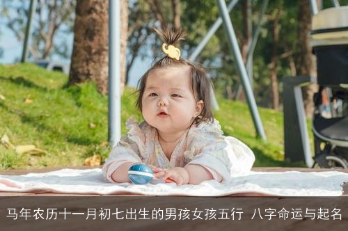 马年农历十一月初七出生的男孩女孩五行 八字命运与起名 马年农历十一月初七出生的男孩女孩五行 八字命运与起名