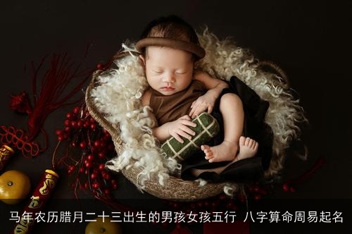 马年农历腊月二十三出生的男孩女孩五行 八字算命周易起名 马年农历腊月二十三出生的男孩女孩五行 八字算命周易起名