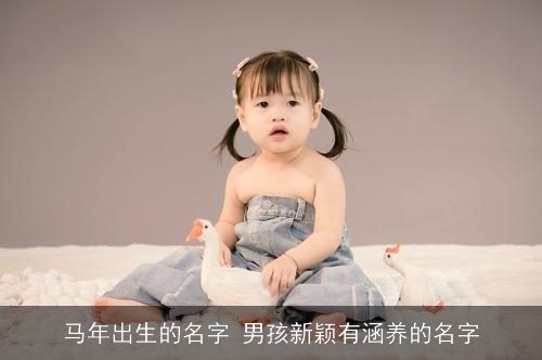 马年出生的名字 男孩新颖有涵养的名字 马年出生的名字 男孩新颖有涵养的名字