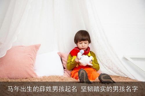 马年出生的薛姓男孩起名 坚韧踏实的男孩名字 马年出生的薛姓男孩起名 坚韧踏实的男孩名字