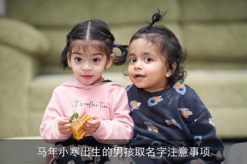 马年小寒出生的男孩取名字注意事项 马年小寒出生的男孩取名字注意事项