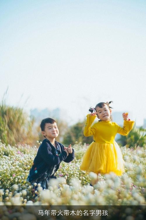 马年带火带木的名字男孩 马年带火带木的名字男孩