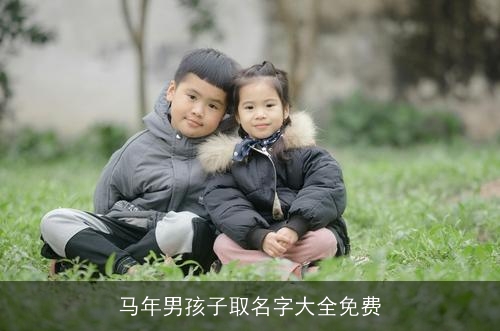 马年男孩子取名字大全免费 马年男孩子取名字大全免费
