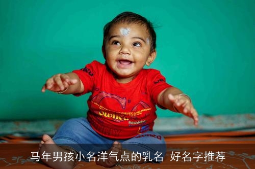 马年男孩小名洋气点的乳名 好名字推荐 马年男孩小名洋气点的乳名 好名字推荐