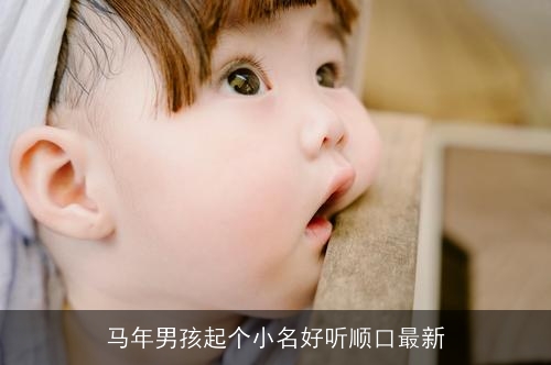 马年男孩起个小名好听顺口最新 马年男孩起个小名好听顺口最新
