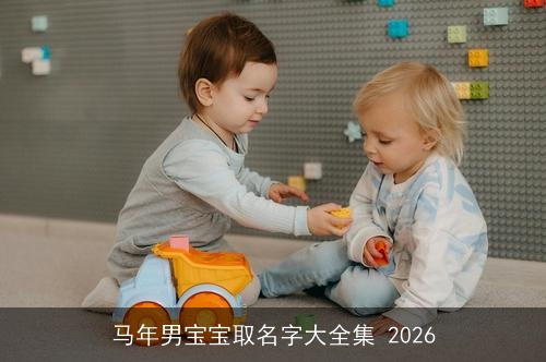 马年男宝宝取名字大全集 2026 马年男宝宝取名字大全集 2026