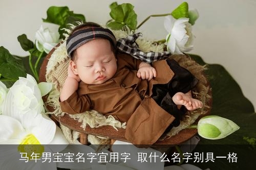 马年男宝宝名字宜用字 取什么名字别具一格 马年男宝宝名字宜用字 取什么名字别具一格