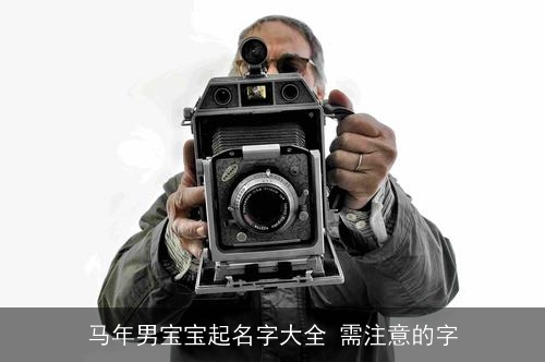 马年男宝宝起名字大全 需注意的字 马年男宝宝起名字大全 需注意的字