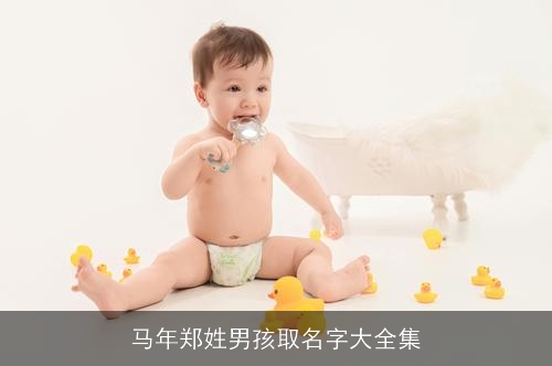 马年郑姓男孩取名字大全集 马年郑姓男孩取名字大全集