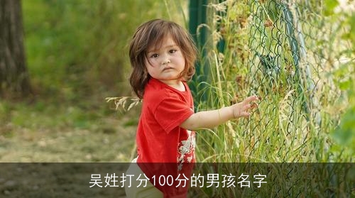吴姓打分100分的男孩名字 吴姓打分100分的男孩名字