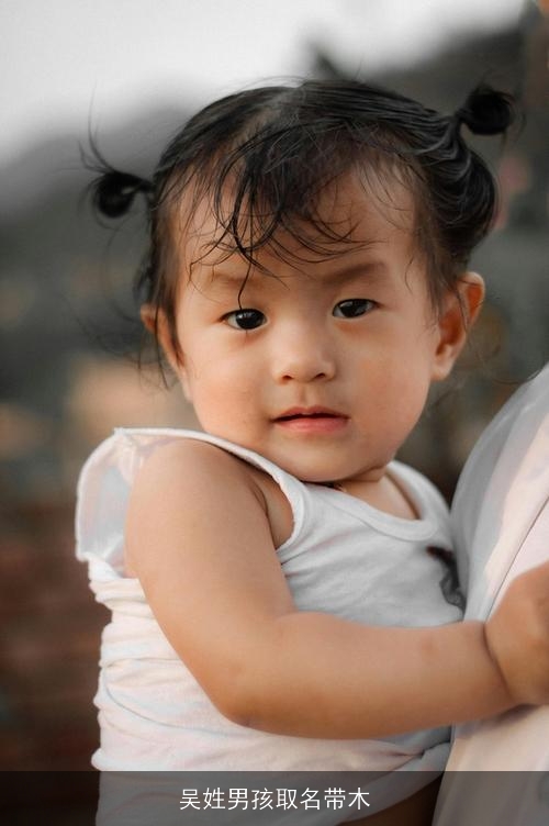 吴姓男孩取名带木 吴姓男孩取名带木