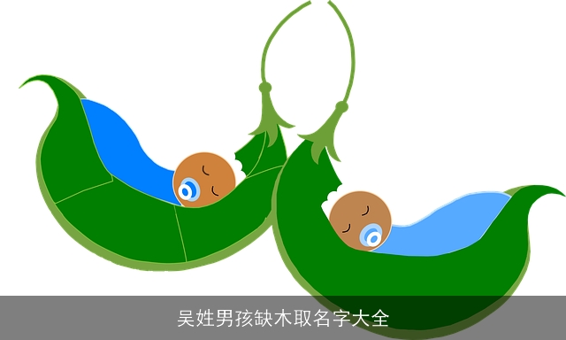 吴姓男孩缺木取名字大全 吴姓男孩缺木取名字大全