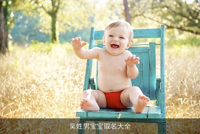 吴姓男宝宝取名大全 吴姓男宝宝取名大全