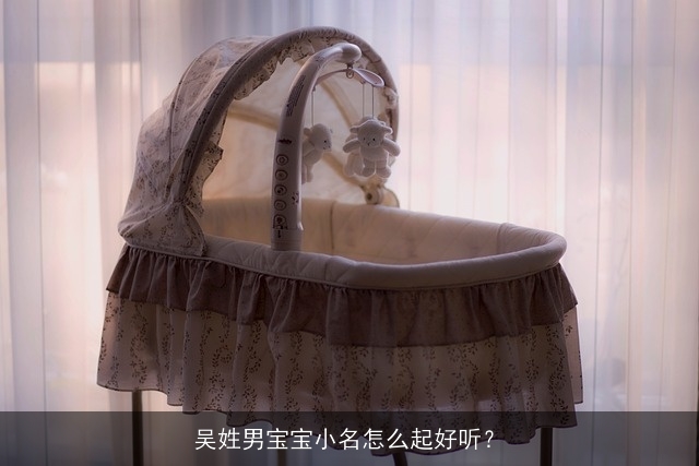 吴姓男宝宝小名怎么起好听? 吴姓男宝宝小名怎么起好听?