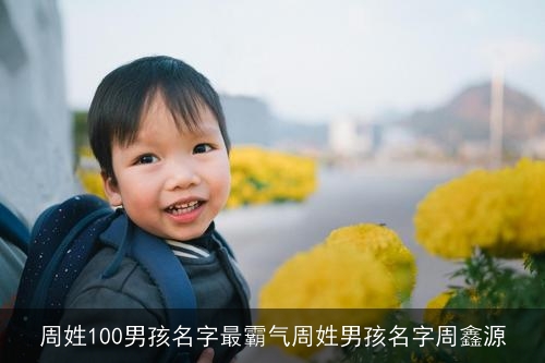 周姓100男孩名字最霸气周姓男孩名字周鑫源 周姓100男孩名字最霸气周姓男孩名字周鑫源