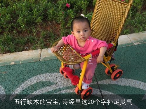 五行缺木的宝宝,诗经里这20个字补足灵气 五行缺木的宝宝,诗经里这20个字补足灵气
