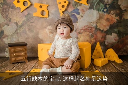 五行缺木的宝宝,这样起名补足运势 五行缺木的宝宝,这样起名补足运势