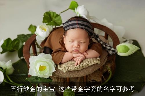 五行缺金的宝宝,这些带金字旁的名字可参考 五行缺金的宝宝,这些带金字旁的名字可参考