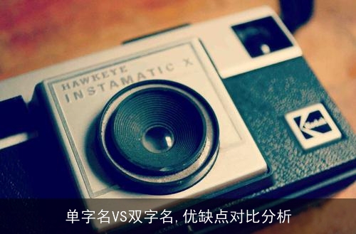 单字名VS双字名,优缺点对比分析 单字名VS双字名,优缺点对比分析