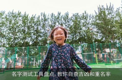 名字测试工具盘点,教你自查吉凶和重名率 名字测试工具盘点,教你自查吉凶和重名率