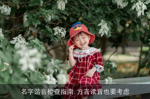 名字谐音检查指南,方言读音也要考虑 名字谐音检查指南,方言读音也要考虑
