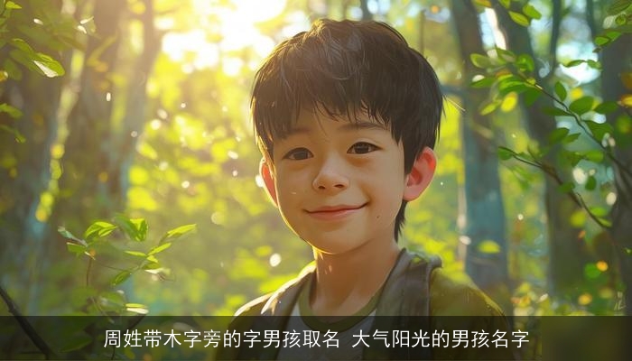 周姓带木字旁的字男孩取名 大气阳光的男孩名字 周姓带木字旁的字男孩取名 大气阳光的男孩名字