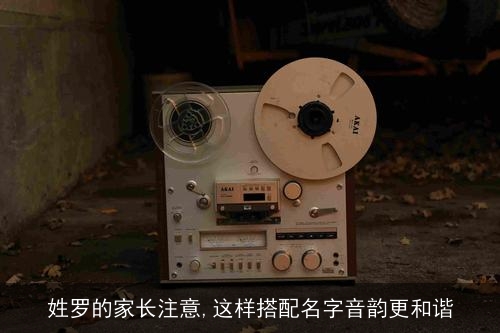 姓罗的家长注意,这样搭配名字音韵更和谐 姓罗的家长注意,这样搭配名字音韵更和谐