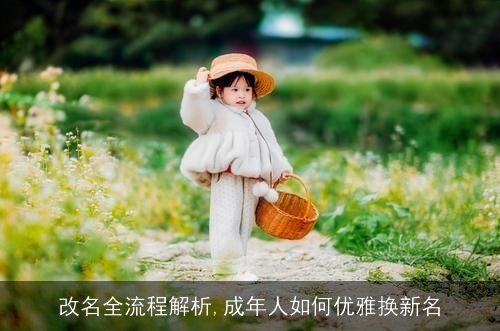 改名全流程解析,成年人如何优雅换新名 改名全流程解析,成年人如何优雅换新名