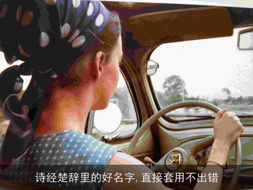 诗经楚辞里的好名字,直接套用不出错 诗经楚辞里的好名字,直接套用不出错