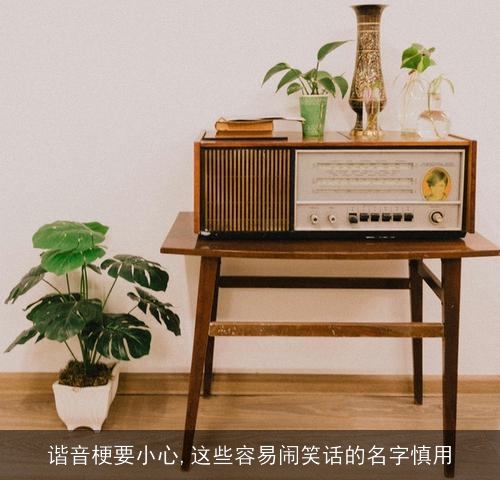 谐音梗要小心,这些容易闹笑话的名字慎用 谐音梗要小心,这些容易闹笑话的名字慎用