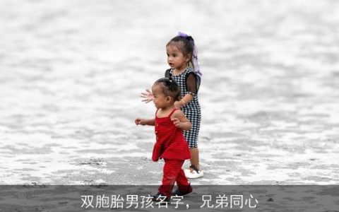 双胞胎男孩名字，兄弟同心