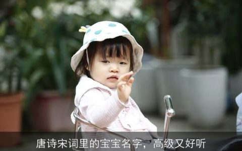 唐诗宋词里的宝宝名字，高级又好听