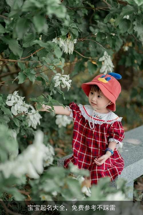 宝宝起名大全，免费参考不踩雷