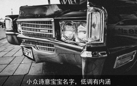 小众诗意宝宝名字，低调有内涵