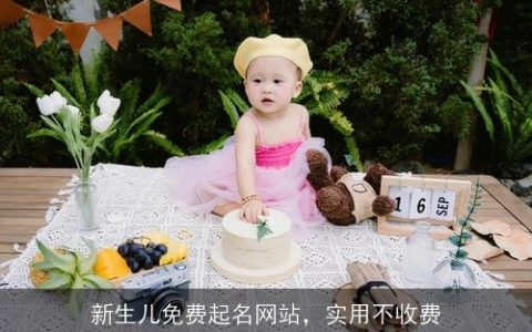 新生儿免费起名网站，实用不收费