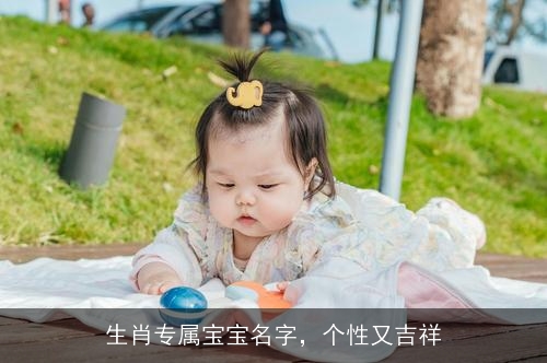 生肖专属宝宝名字，个性又吉祥