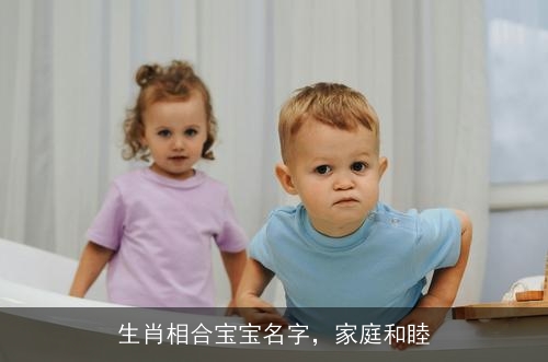 生肖相合宝宝名字，家庭和睦