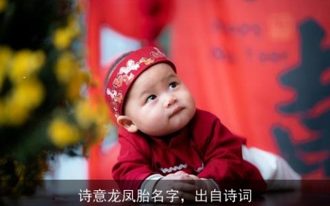 诗意龙凤胎名字，出自诗词