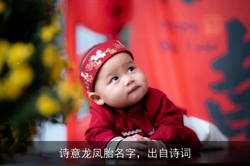 诗意龙凤胎名字，出自诗词