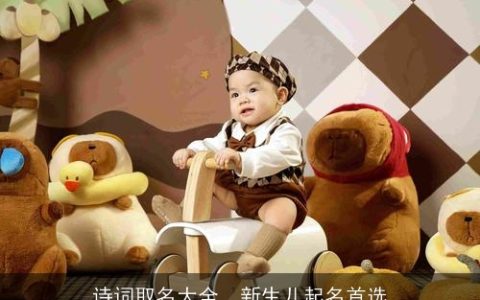 诗词取名大全，新生儿起名首选