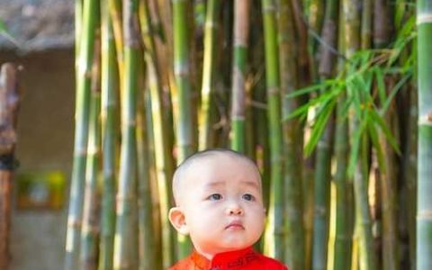 2026 马年宝宝起名，百家姓好名字大全